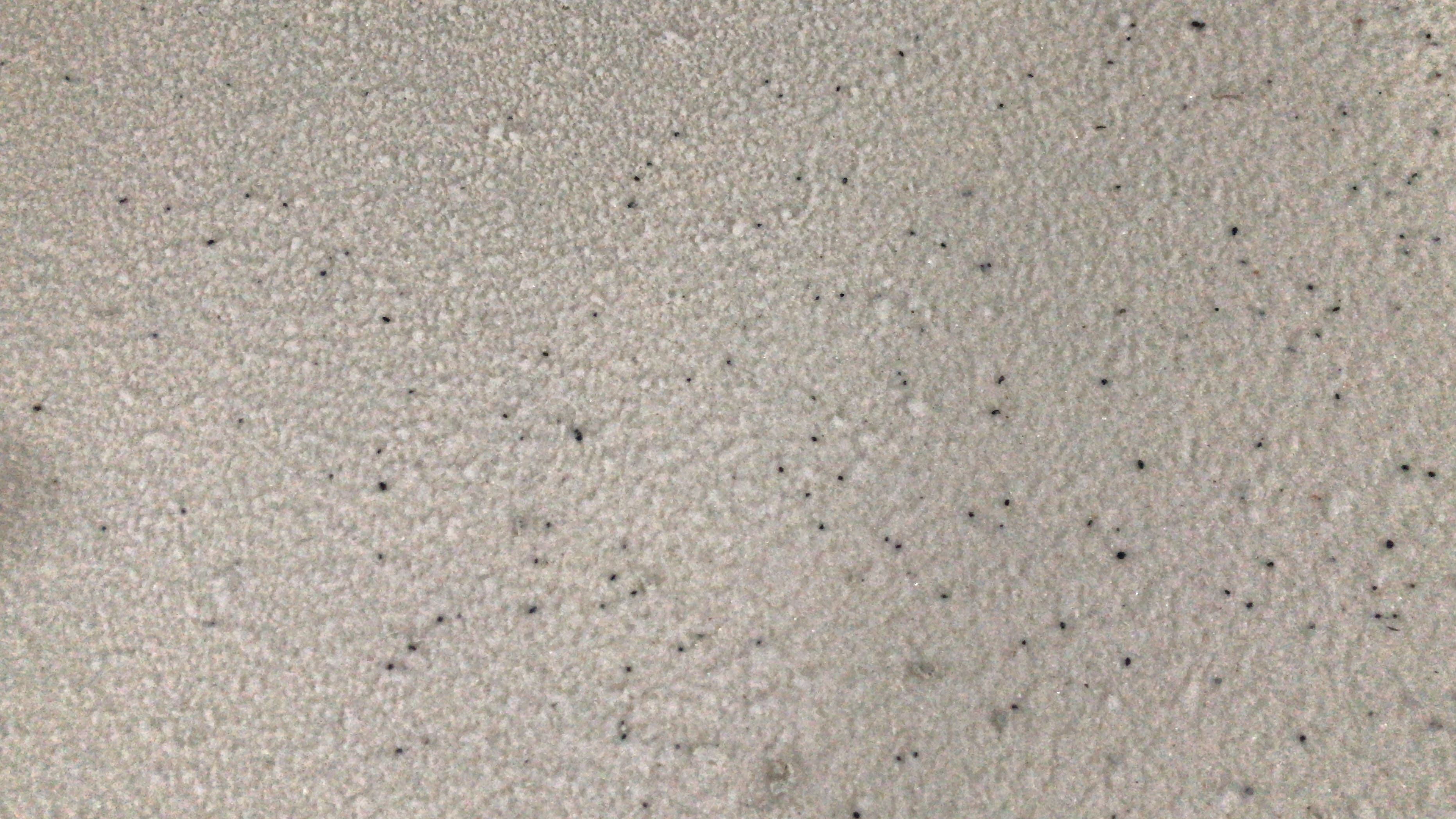 2025-03-18-11_12_24