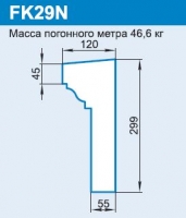 FK29N